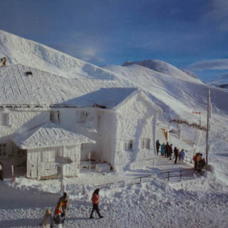 Winter.jpeg